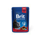 Konserv kassidele kotis Brit Premium Beef Stew&Peas 100g x 24 tk цена и информация | Konservid kassidele | kaup24.ee