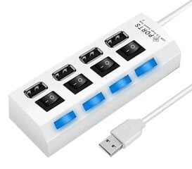 Активный USB-хаб Perfee, 4 порта, белый цена и информация | Адаптеры и USB-hub | kaup24.ee