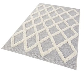 Vaip siseruumi või õue Mint Rugs Ayoun, 115x170 cm цена и информация | Ковры | kaup24.ee