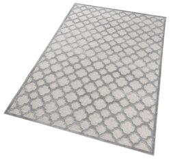 Vaip Mint Rugs Bryon, 200x300 cm цена и информация | Ковры | kaup24.ee