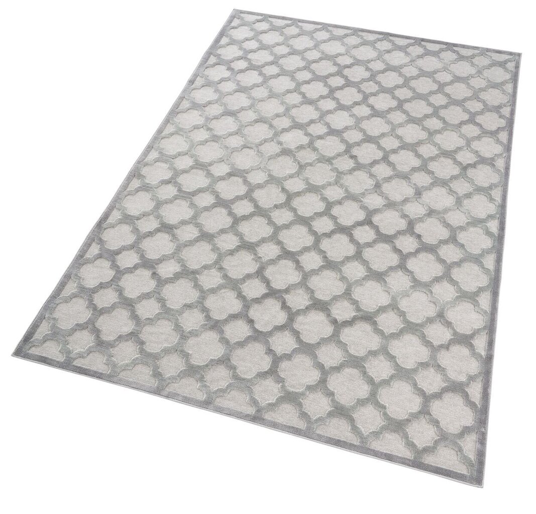 Vaip Mint Rugs Bryon, 200x300 cm hind ja info | Vaibad | kaup24.ee