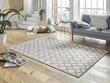 Vaip Mint Rugs Bryon, 200x300 cm hind ja info | Vaibad | kaup24.ee