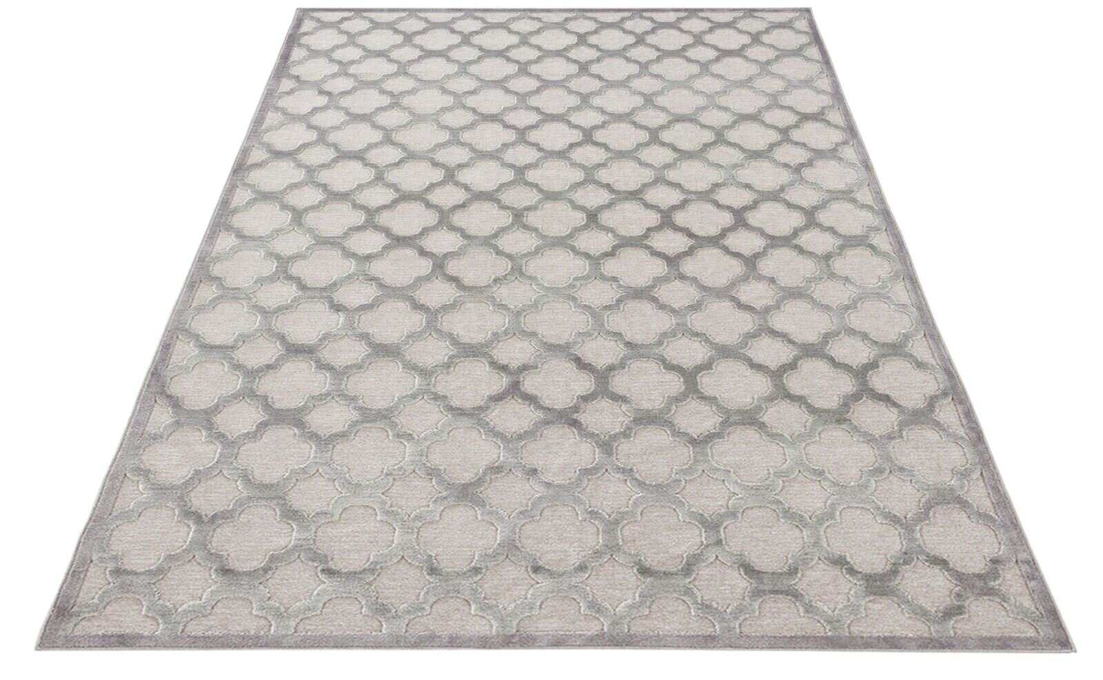 Vaip Mint Rugs Bryon, 200x300 cm hind ja info | Vaibad | kaup24.ee