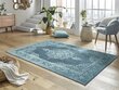 Vaip Mint Rugs Willow, 200x300 cm hind ja info | Vaibad | kaup24.ee