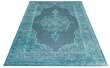 Vaip Mint Rugs Willow, 200x300 cm hind ja info | Vaibad | kaup24.ee