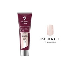 Victoria Vynn Master Gel 13 Rose Shine roosa osakestega, 60 g hind ja info | Maniküüri ja pediküüri tarvikud | kaup24.ee