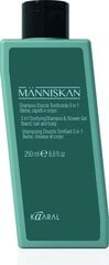 Människan - 3 в 1 - Тонизирующий шампунь для волос, бороды и гель для душа, 250 мл цена и информация | Краска для волос | kaup24.ee