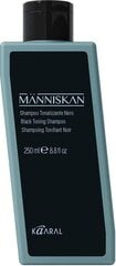 Människan - Тонизирующий черный шампунь, 250 мл цена и информация | Краска для волос | kaup24.ee