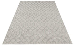 Vaip Mint Rugs Caine, 80x125 cm hind ja info | Vaibad | kaup24.ee