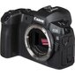 Canon EOS R Body + Mount Adapter EF-EOS R цена и информация | Fotoaparaadid | kaup24.ee