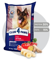 CLUB 4 PAWS Premium полнорационный сухой корм для активных взрослых собак всех пород "ACTIVE", 14 кг цена и информация | Сухой корм для собак | kaup24.ee