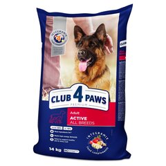 CLUB 4 PAWS Premium полнорационный сухой корм для активных взрослых собак всех пород "ACTIVE", 14 кг цена и информация | Сухой корм для собак | kaup24.ee