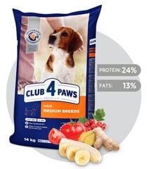 CLUB 4 PAWS Premium полнорационный сухой корм для взрослых собак средних пород , 14 кг цена и информация | Сухой корм для собак | kaup24.ee