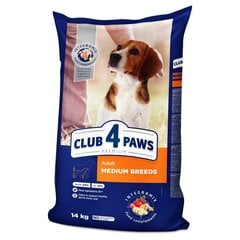 CLUB 4 PAWS Premium полнорационный сухой корм для взрослых собак средних пород , 14 кг цена и информация | Сухой корм для собак | kaup24.ee