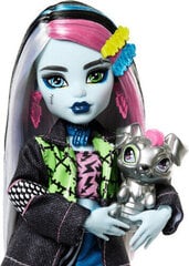 Кукла Monster High Core Frankie Stein цена и информация | Игрушки для девочек | kaup24.ee