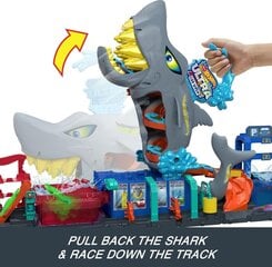 Wash Track Mattel Hot Wheels Shark hind ja info | Poiste mänguasjad | kaup24.ee