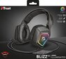 Trust GXT 450 Blizz RGB 23191 цена и информация | Kõrvaklapid | kaup24.ee