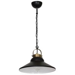 Luminex подвесной светильник Iron  цена и информация | Потолочный светильник, 38 x 38 x 24 см | kaup24.ee