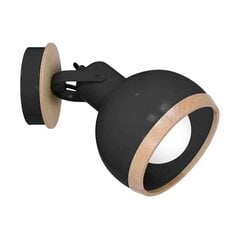 Milagro настенный светильник Oval цена и информация | Настенные светильники | kaup24.ee