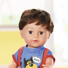 Baby Born vend, 43 cm, 825365 цена и информация | Игрушки для девочек | kaup24.ee