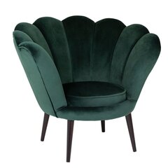 Кресло TMS Tristan, зеленое цена и информация | Кресла | kaup24.ee