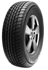 Mastersteel WINTER + 195/65R15 91 H цена и информация | Зимняя резина | kaup24.ee