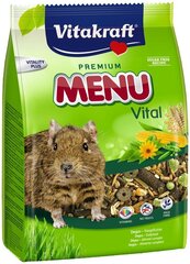 VITAKRAFT Premium Menu deegu toit, 0,6 kg цена и информация | Корм для грызунов | kaup24.ee