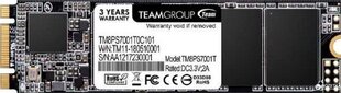 Team Group TM8PS7256G0C101 цена и информация | Внутренние жёсткие диски (HDD, SSD, Hybrid) | kaup24.ee