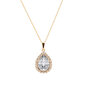 Naiste kaelakee DiamondSky "Celestial Drop" Swarovski kristallidega DS01K763 цена и информация | Kaelakeed | kaup24.ee