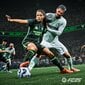 EA Sports FC 25 PS4 mäng цена и информация | Arvutimängud, konsoolimängud | kaup24.ee