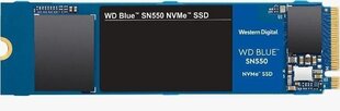 Western Digital WDS250G2B0C hind ja info | Sisemised kõvakettad (HDD, SSD, Hybrid) | kaup24.ee