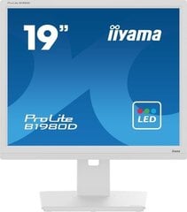 iiyama monitor ProLite B1980D-W5 19" SXGA LCD, valge hind ja info | Monitorid | kaup24.ee