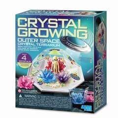 4M Crystal Growing DIY komplekt Kosmose kristall-terraarium hind ja info | Liivakastid, liiv ja mänguasjad | kaup24.ee