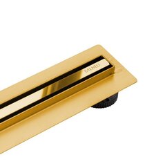 Slim&Low ProLine Mirror Gold Lineaarne äravool 60 cm kuldse peegliga hind ja info | Duširennid | kaup24.ee