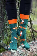 Носки FOXY хлопковые, темно-зеленые цена и информация | Мужские носки | kaup24.ee