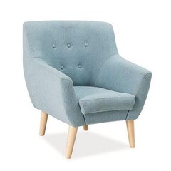 Кресло TMS Amber, синего цвета цена и информация | Кресла | kaup24.ee