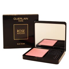 Põsepuna Guerlain Rose Aux Joues 02 Chic Pink 6,5 g цена и информация | Бронзеры (бронзаторы), румяна | kaup24.ee