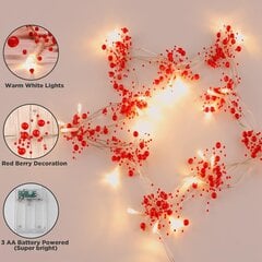 3m 30 LED punase marja valgusnööri patareitoitel, 2 valgusrežiimi jõulutuled Halloweeniks, jõulu sisekujundus цена и информация | Праздничные декорации | kaup24.ee