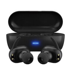 Maxell kõrvaklapid MINI DUO juhtmevabad in-ear with charging case must цена и информация | Наушники | kaup24.ee