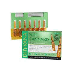 Näonaha intensiivhooldusseerum Dhyvana Pure Cannabis 2ml N7 kaina ir informacija | Сыворотки для лица, масла | kaup24.ee