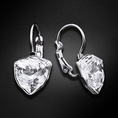 Серьги "Бермудский Треугольник (Crystal)" с кристаллами Swarovski™ DS03A135 цена и информация | Серьги | kaup24.ee