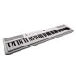 Elektriline klaver Artesia PE-88 w/style, valge hind ja info | Klahvpillid | kaup24.ee