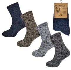 Meeste termosokid Thermo Wool, komplekt 4 paari, 43-46 hind ja info | Meeste sokid | kaup24.ee