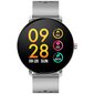 Denver SW-171 Grey цена и информация | Nutikellad (smartwatch) | kaup24.ee