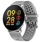 Denver SW-171 Grey цена и информация | Nutikellad (smartwatch) | kaup24.ee