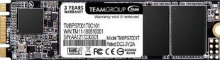 Team Group TM8PS7128G0C101 цена и информация | Внутренние жёсткие диски (HDD, SSD, Hybrid) | kaup24.ee