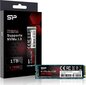 Silicon Power SP001TBP34A80M28 цена и информация | Sisemised kõvakettad (HDD, SSD, Hybrid) | kaup24.ee