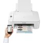 Canon TS3351 MFP Wi-Fi Printer / Scanner / Copier inkjet color hind ja info | Printerid | kaup24.ee