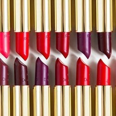 Huulepulk Dermacol Pretty matte 4.5 g, 13 цена и информация | Помады, бальзамы, блеск для губ | kaup24.ee