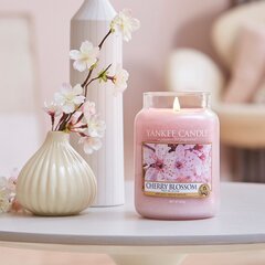 Ароматическая свеча с цветущей вишней Yankee Candle Cherry Blossom, 623 г цена и информация | Свечи, подсвечники | kaup24.ee